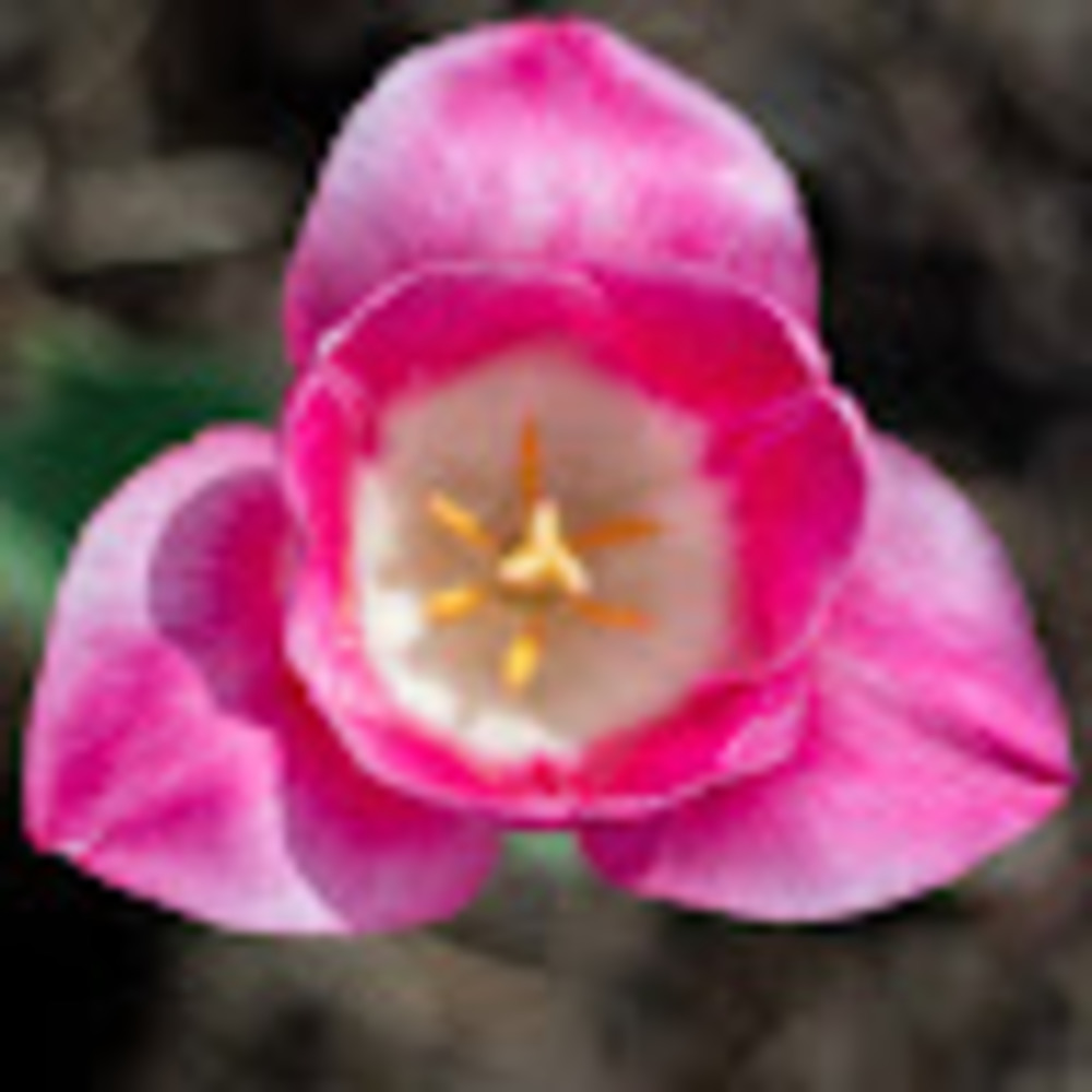 Meet your Posher, Jhon